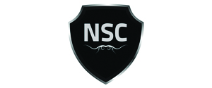 Nightclub Security logo
