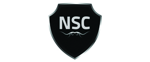 Nightclub Security logo
