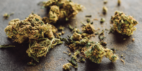 U-S-House-of-Representatives-Votes-to-End-Federal-Marijuana-Prohibition-What-Now-(IntelliCorp).png