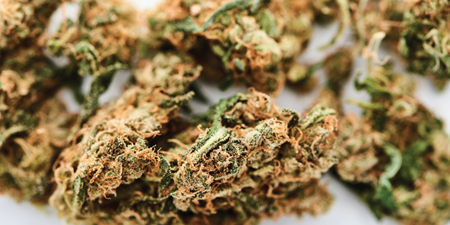 Marijuana-Laws-and-the-2020-Elections-(IntelliCorp).png