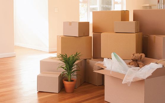 Moving boxes in an empty room
